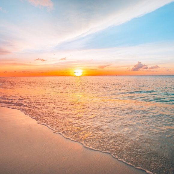 Meet your Posher, Jada - Picture 1 of 1